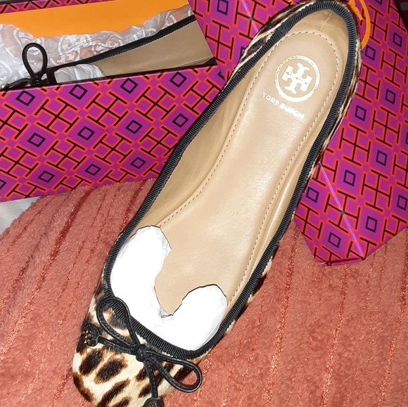 Leopard flat - Picture 4 of 5